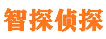 海原市私家调查